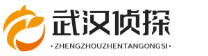 武汉德迅调查